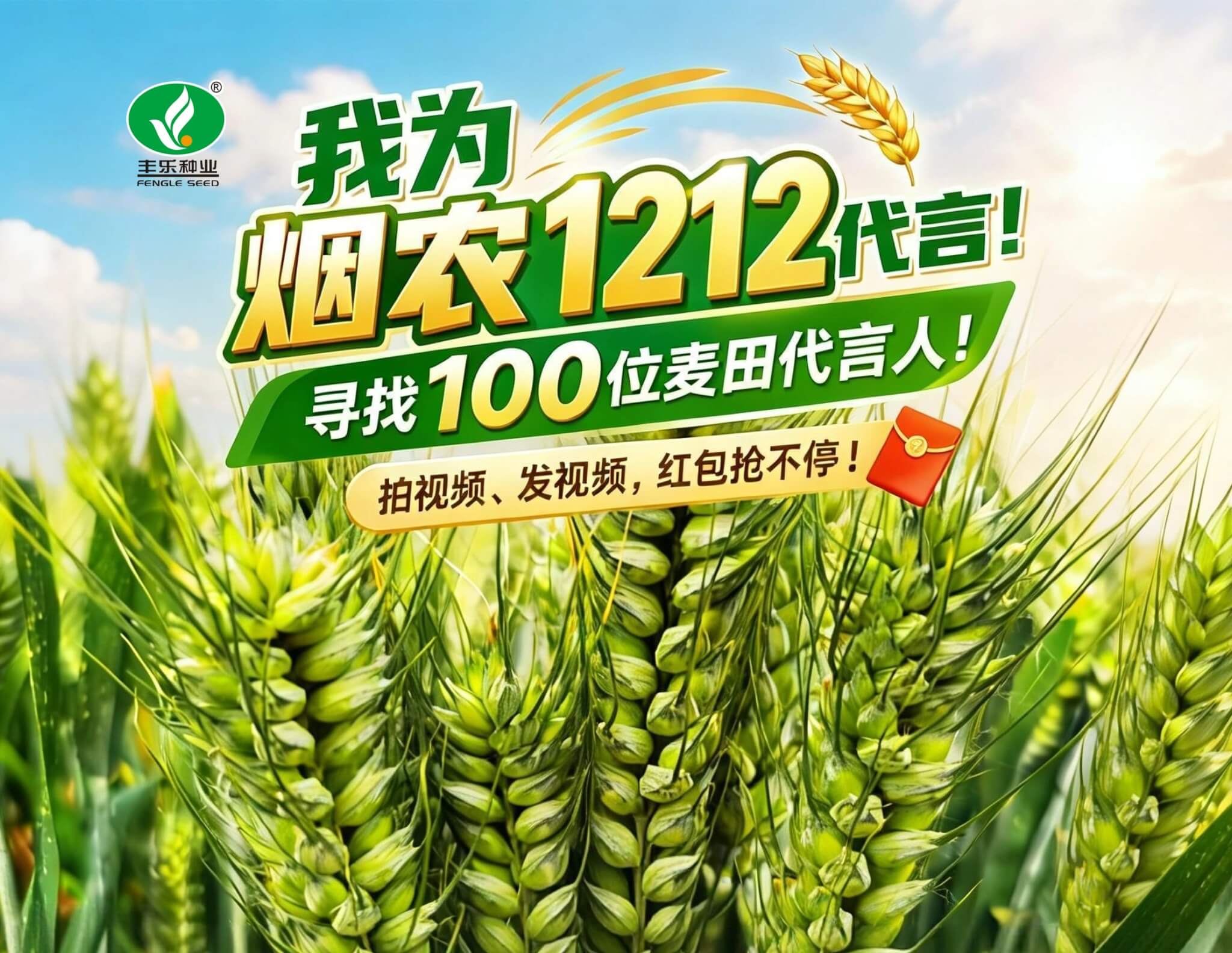 烟农1212代言活动